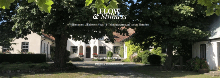 Flow & Stillness